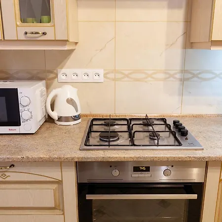 Alfa Levytskoho דירה